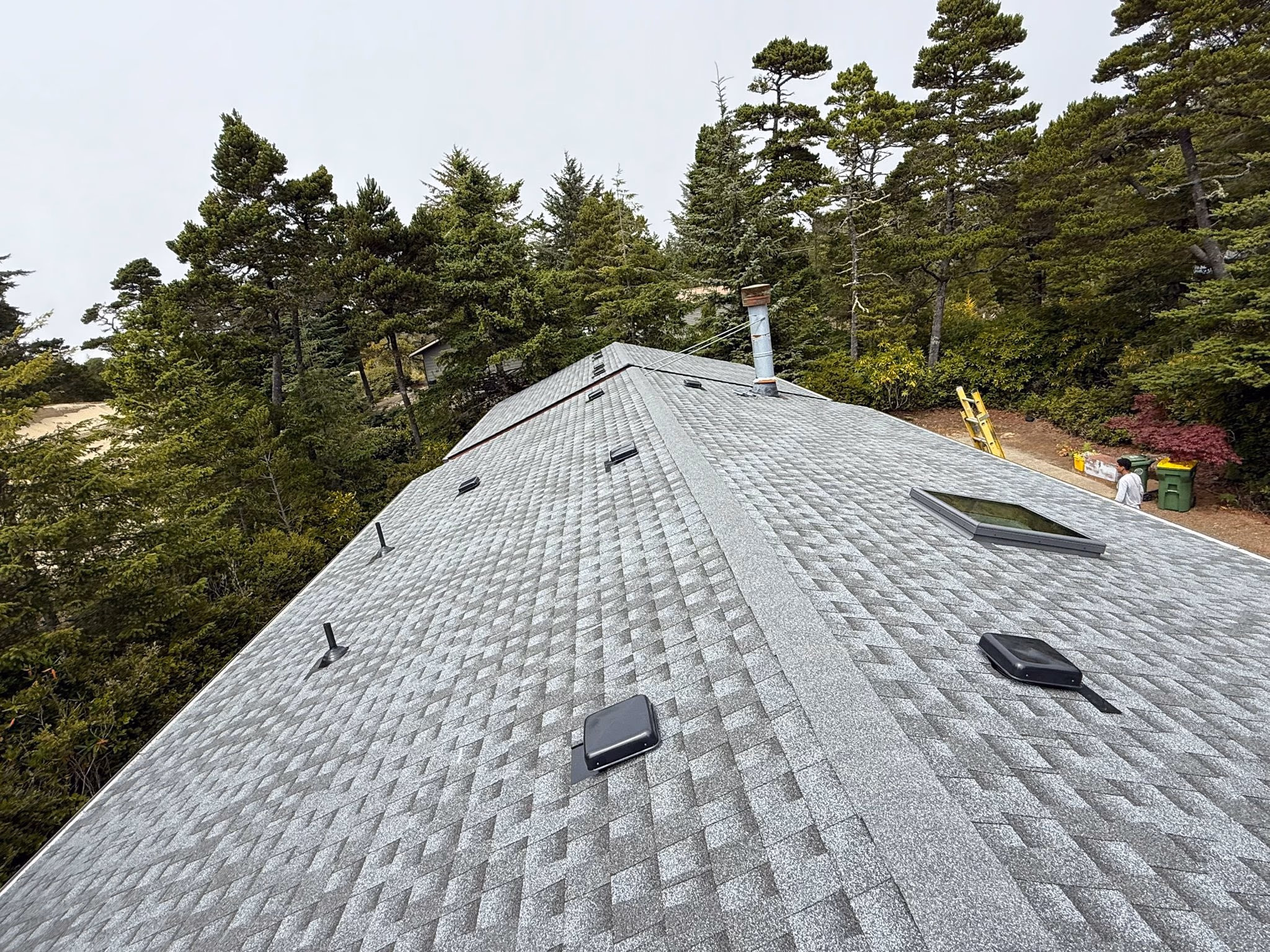 Gray shingled roof with vents and a skylight, surrounded by tall evergreen trees.