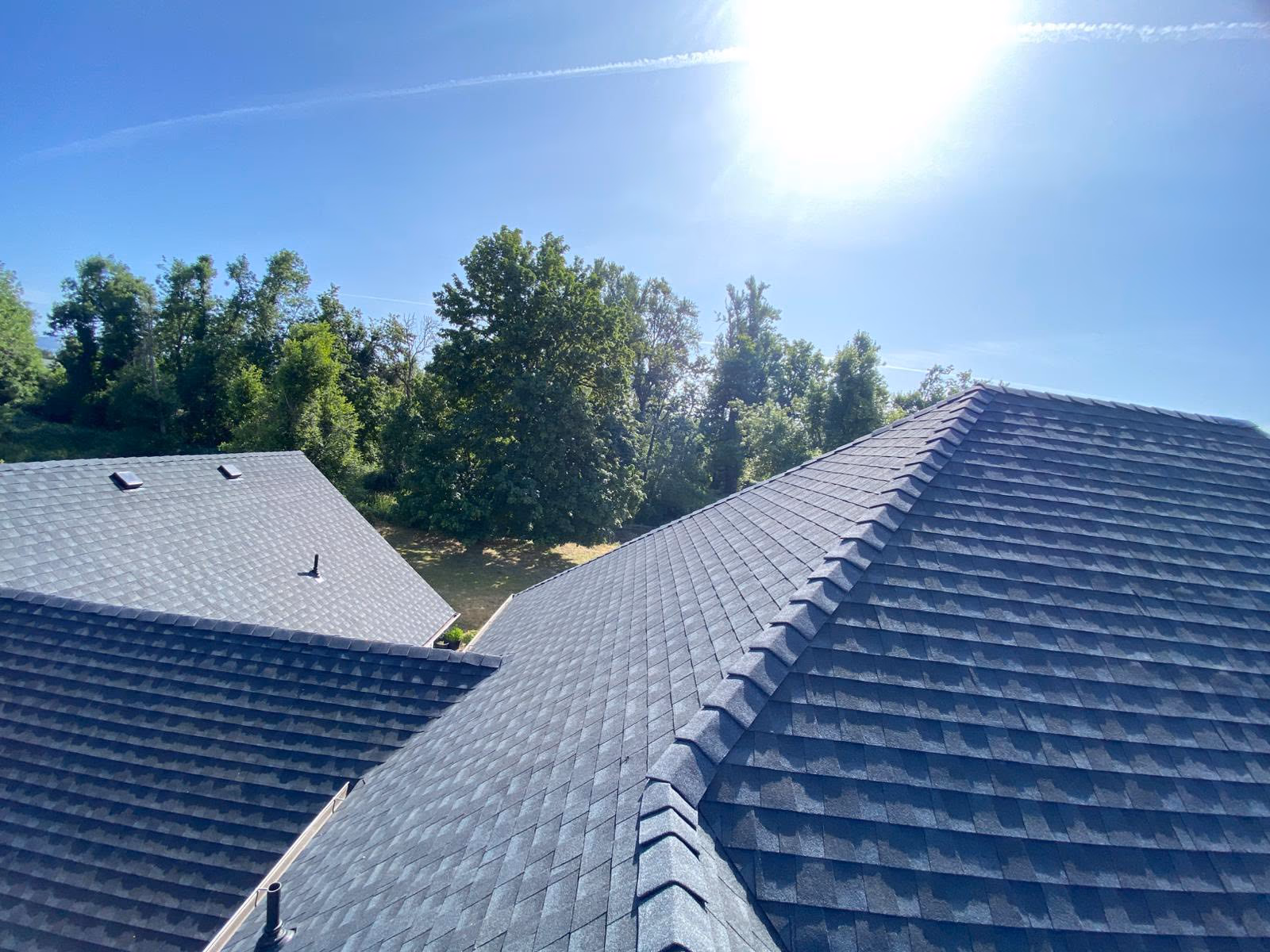 Sunlit blue shingle roofs with green trees and a clear blue sky in the background.