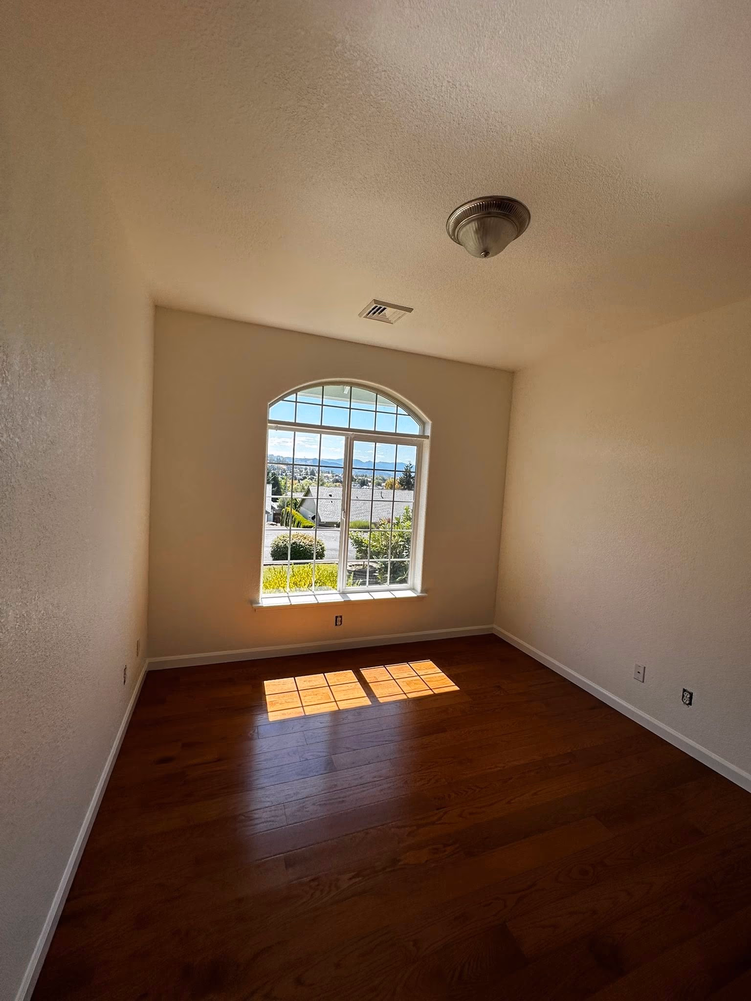 Empty room with wood floor, beige walls, arched window casting sunlight on the floor.