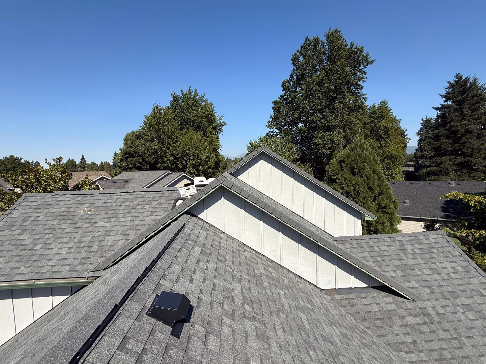 Grey shingled rooftops of suburban houses with tall green trees under a clear blue sky.