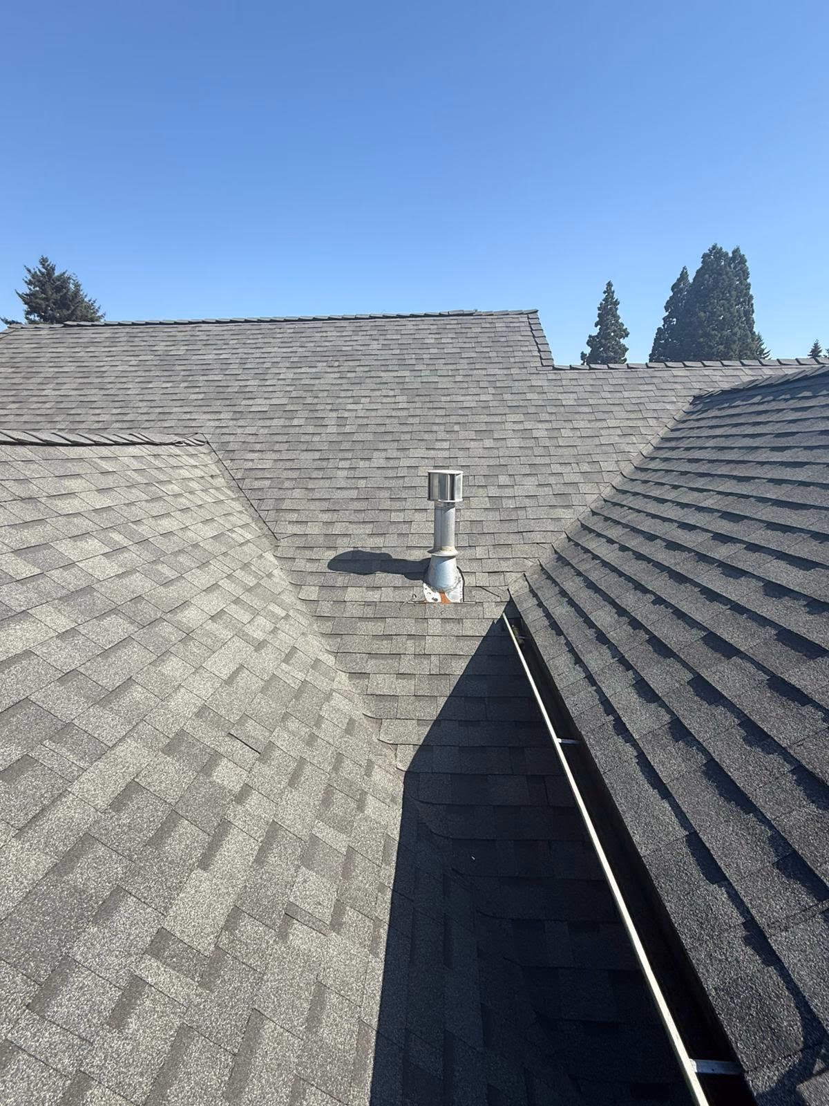 Gray asphalt shingle roof with a metal vent pipe and trees in the background under a clear sky.