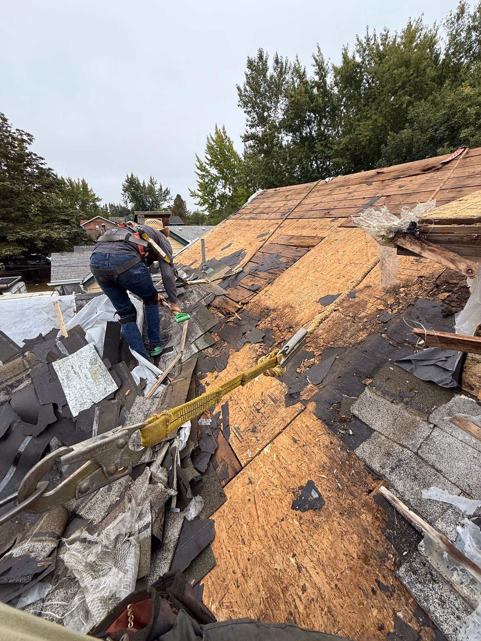 Worker in a hat removing old shingles from a roof with safety harness and fall protection.
