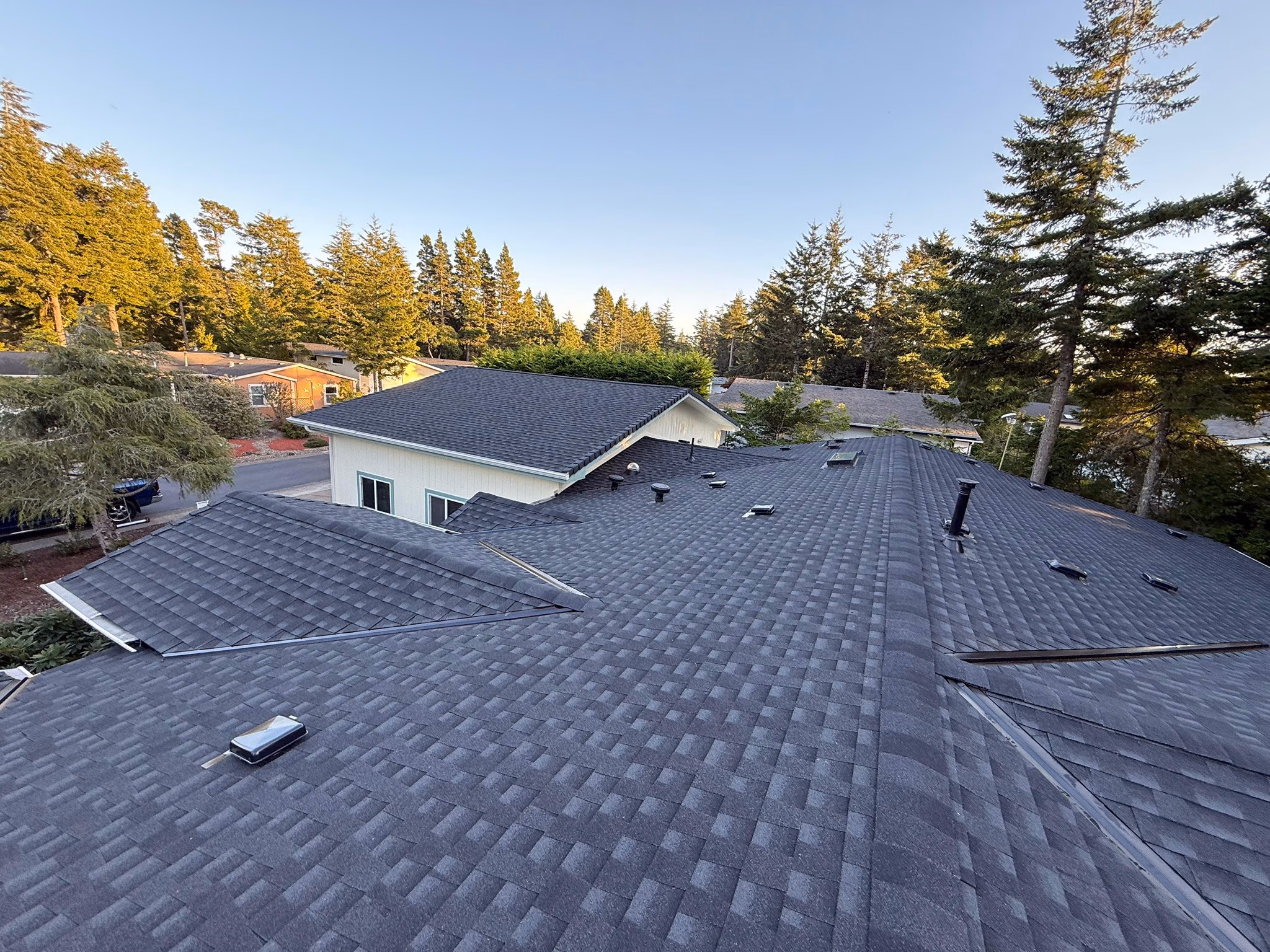 View of dark gray shingled rooftops with trees and houses in the background under a clear sky.