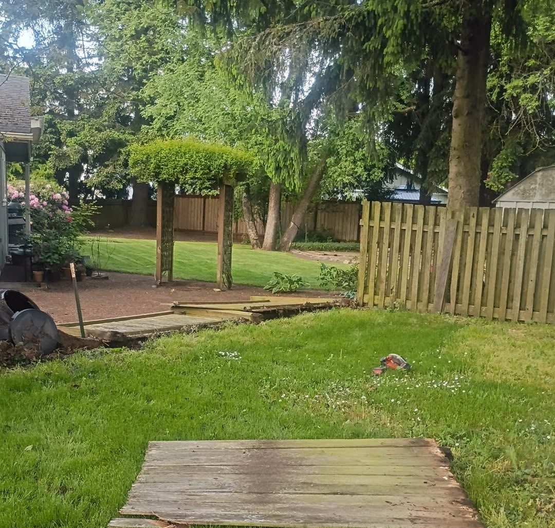 Backyard with green lawn, wooden fence, a pergola with green leaves, and scattered wooden planks.